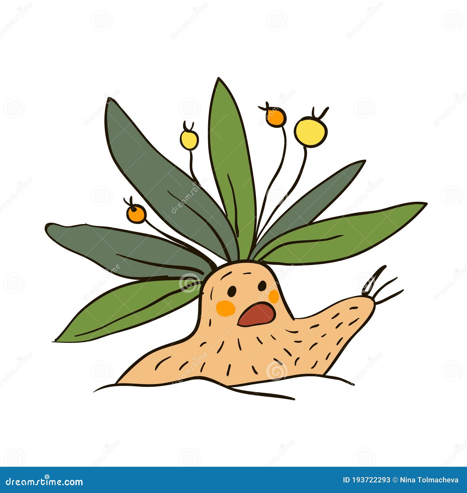 Mandrake Character Stock Illustrations – 163 Mandrake Character Stock  Illustrations, Vectors & Clipart - Dreamstime