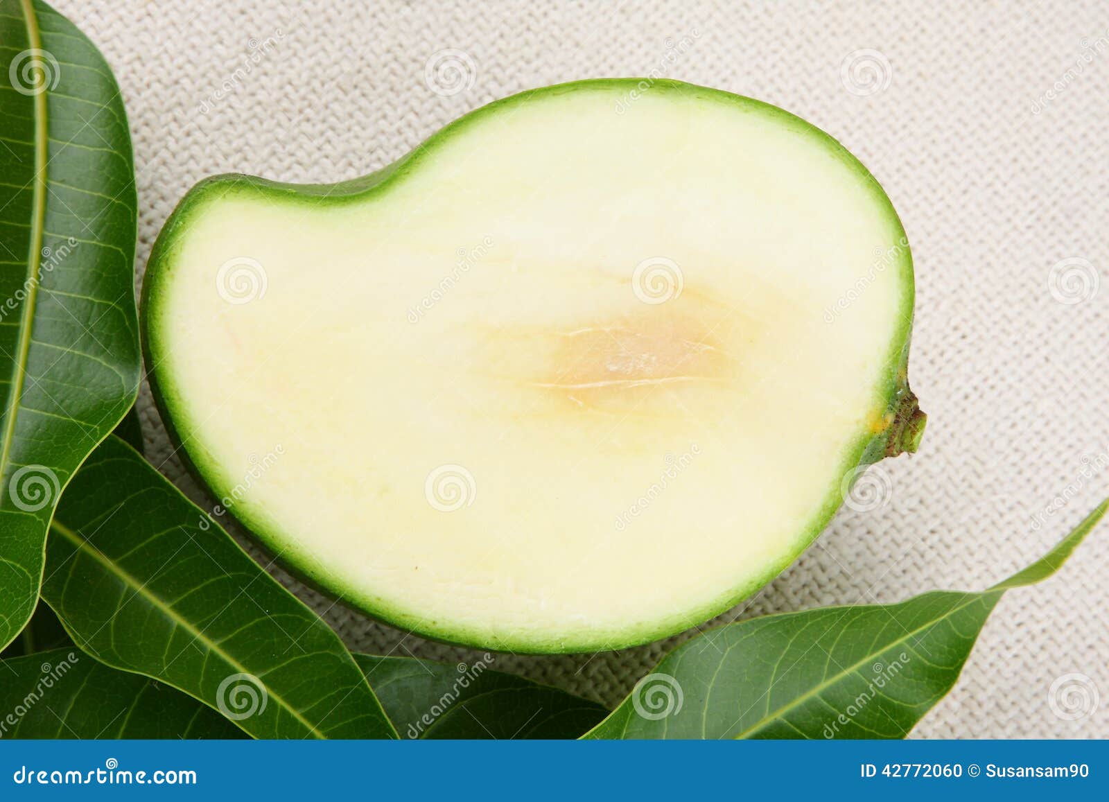 Manga Verde Cortada Foto De Stock Imagem De Folha Grupo 42772060 manga-verde-cortada-foto-de-stock-imagem-de-folha-grupo-42772060