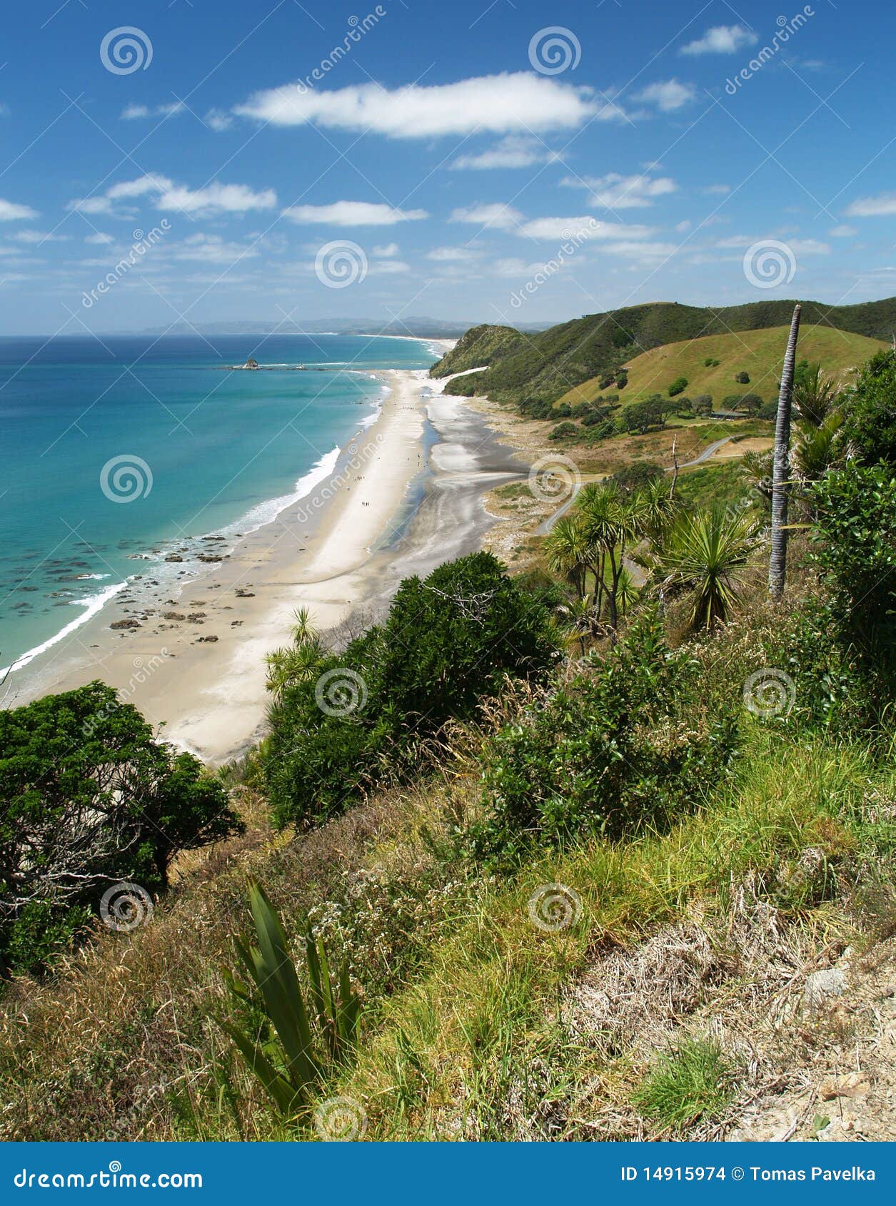 Mangawhai Heads beach stock photo. Image of head, sand 14915974