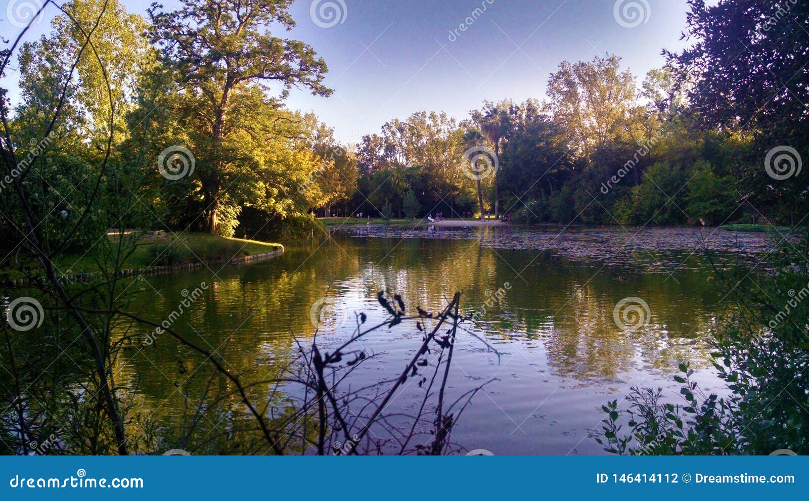 manglar somewhere in france. savage nature.