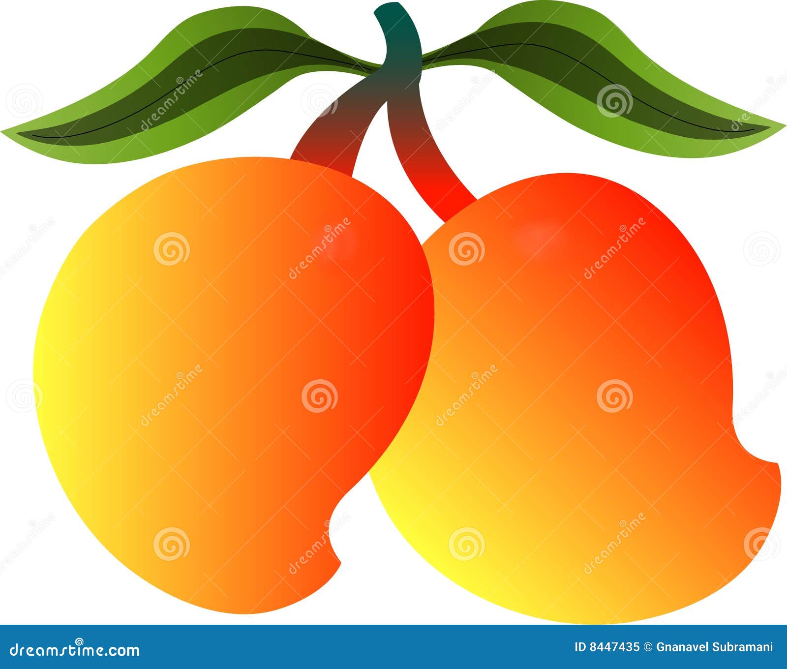 clip art pictures mango - photo #35