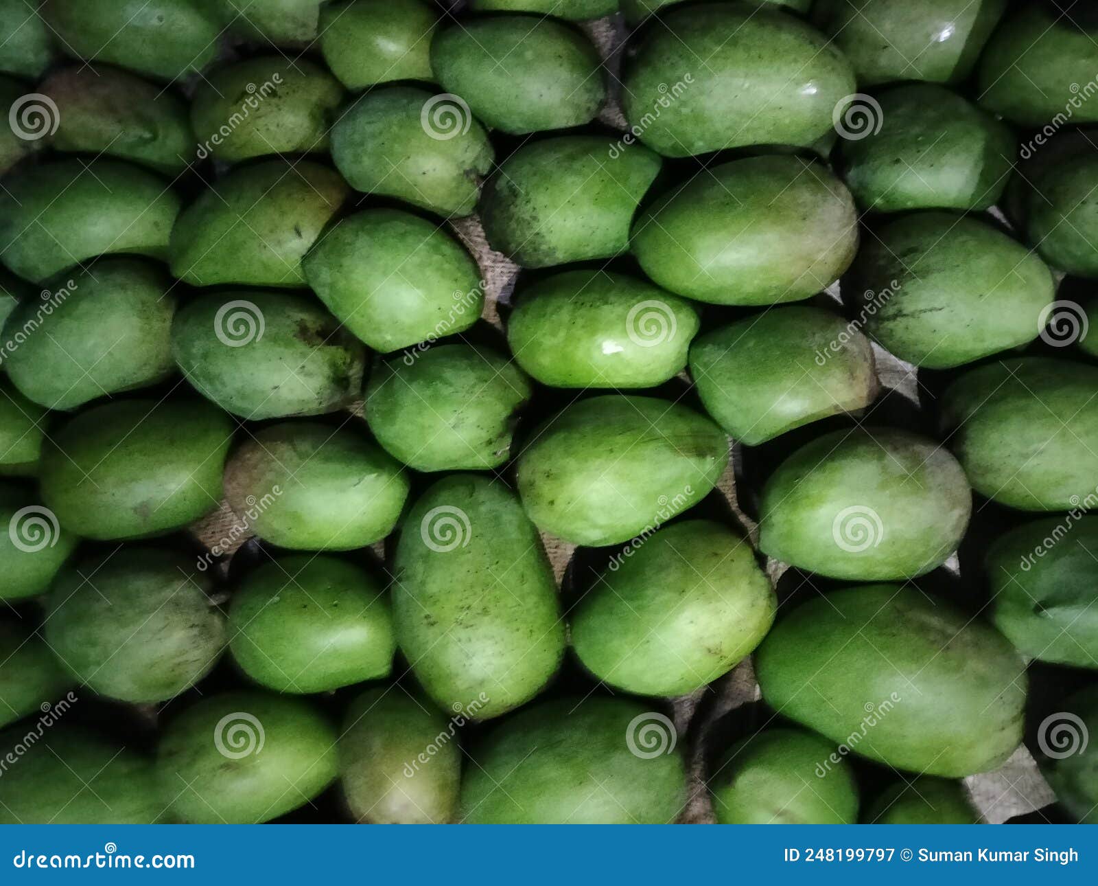 A Mango is an Edible Stone Fruit Produced by the Tropical Tree