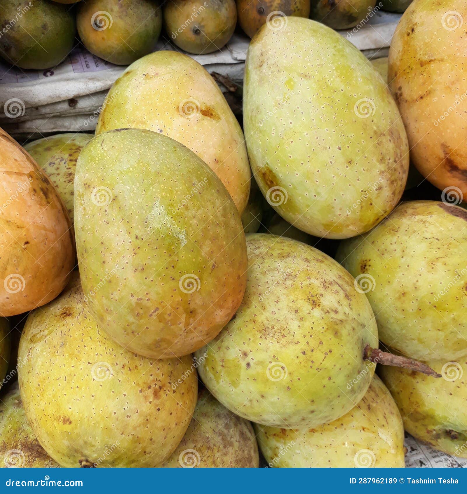 A Mango is an Edible Stone Fruit Produced by the Tropical Tree