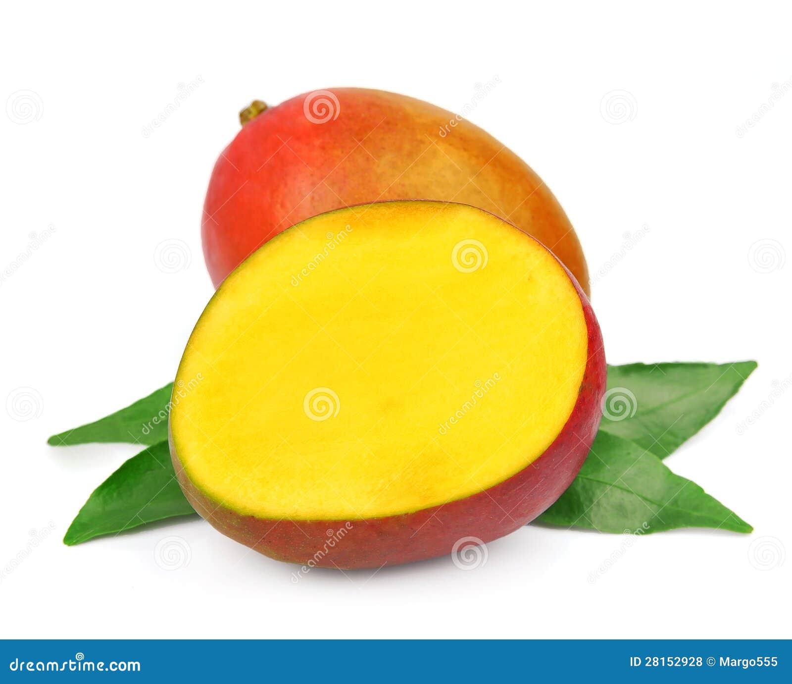 Mango fetus fruit stock photo. Image of mango, food, green 28152928