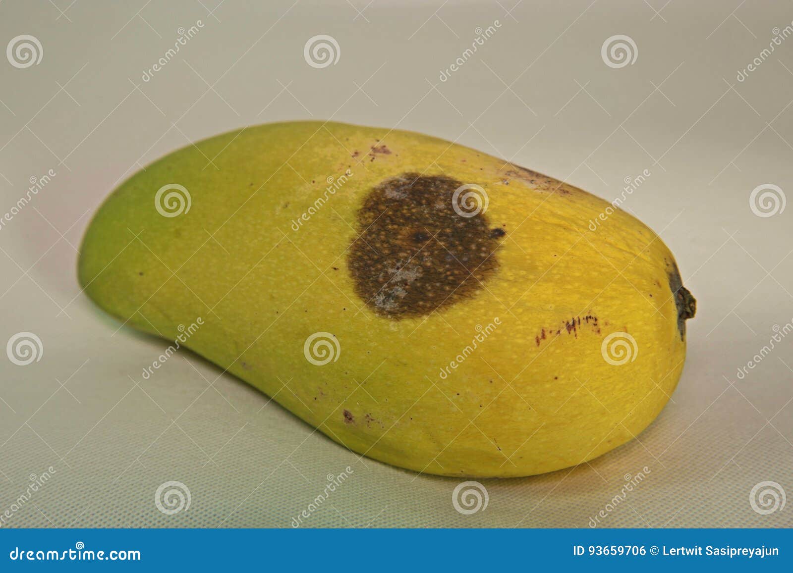 Mango fruit disease stock photo. Image of moldings, nutrition 93659706