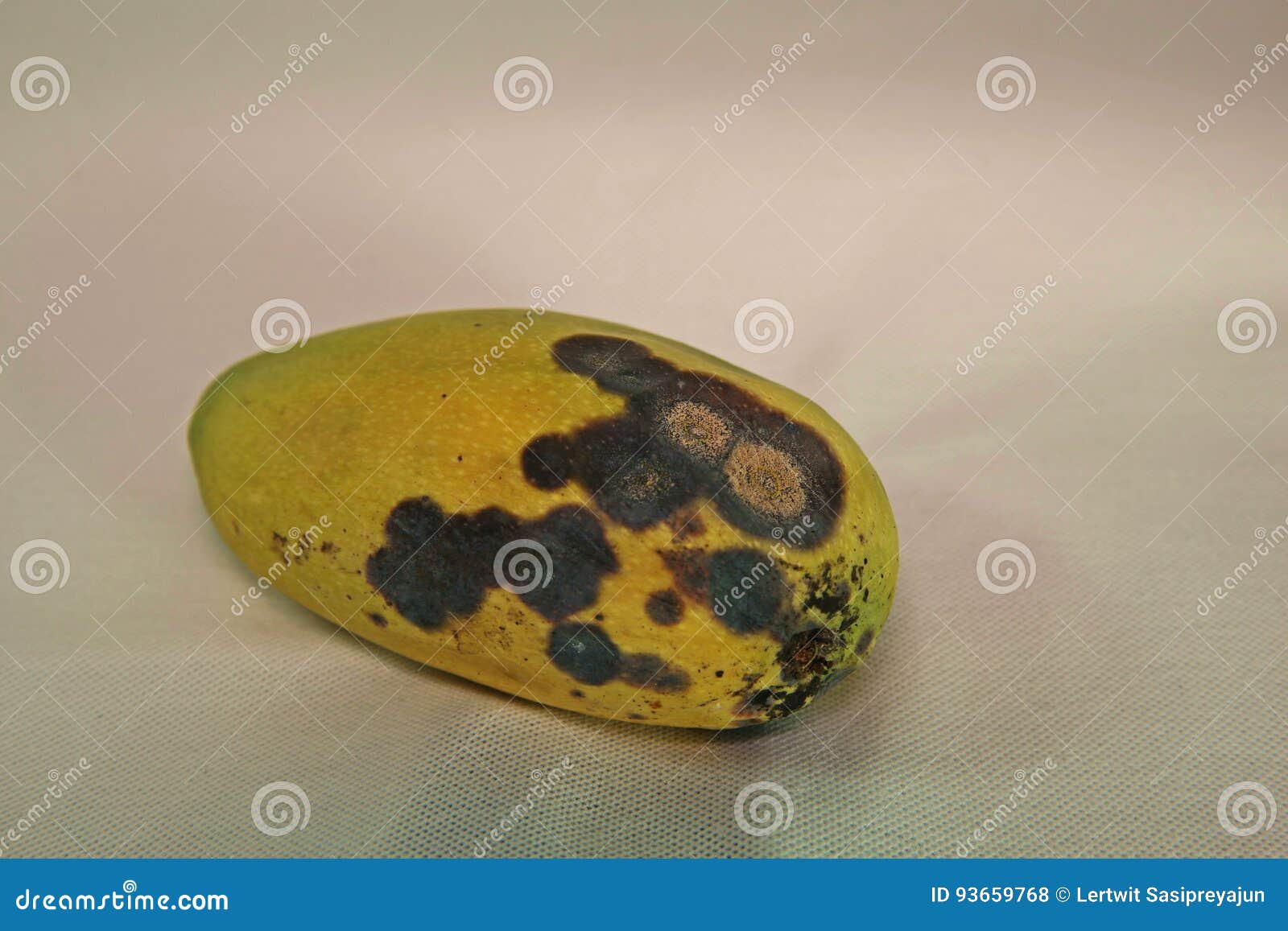 Mango fruit disease stock photo. Image of mold, detail 93659768