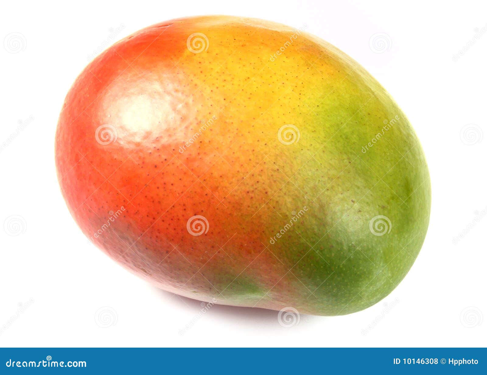 The mango fruit isolated stock photo. Image of closeup 10146308
