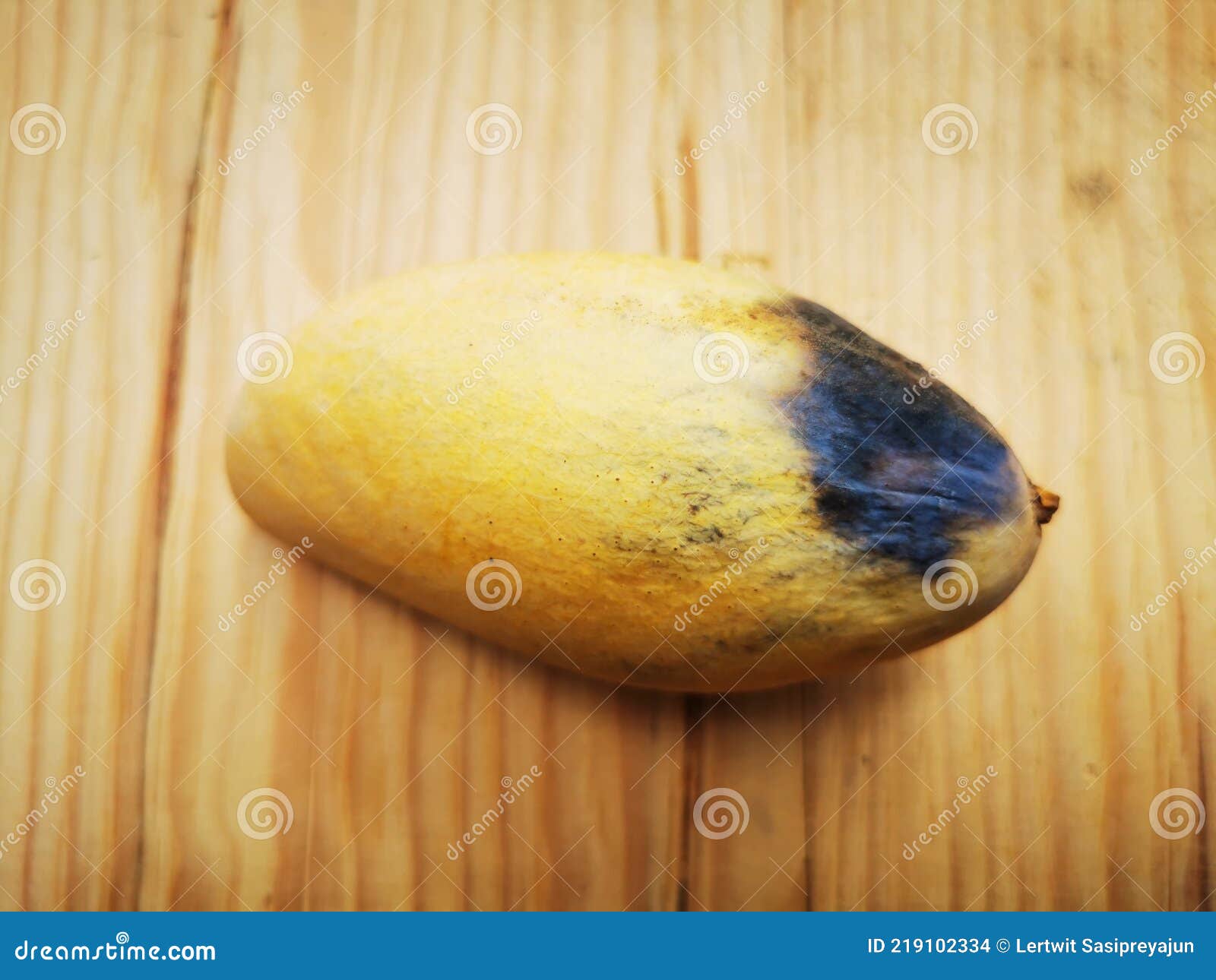 Mango fruit rot from fungi stock photo. Image of dried 219102334