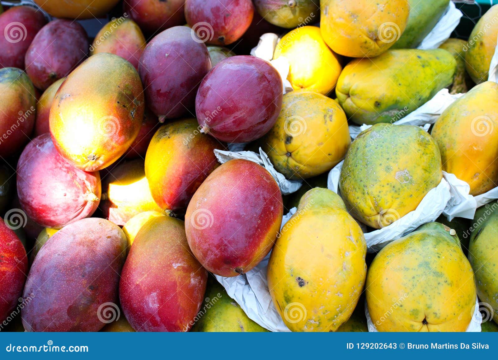 Download Mango Fruit And Yellow Papaya Stock Image Image Of Glass Exotic 129202643 Yellowimages Mockups