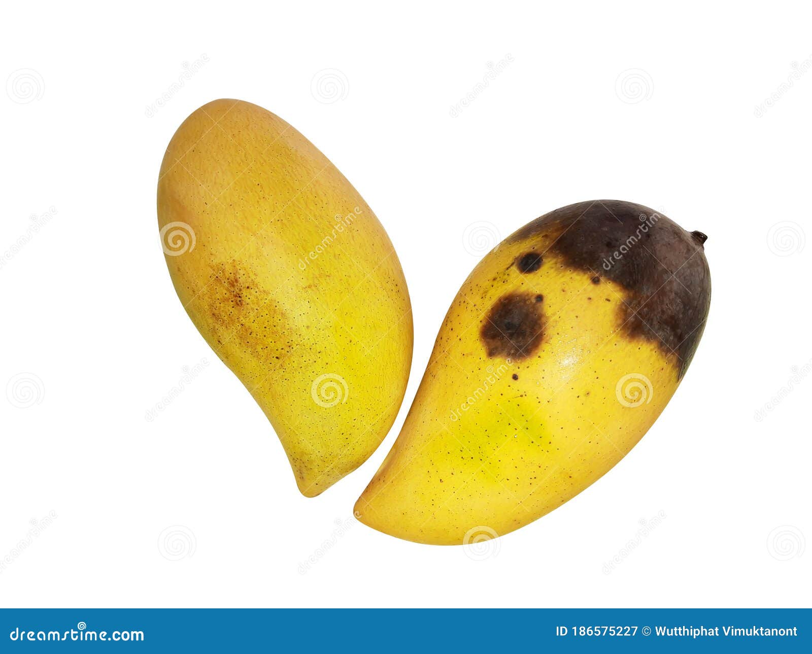 Premium Photo  Rotten mango. overripe fruit on a white surface.isolated