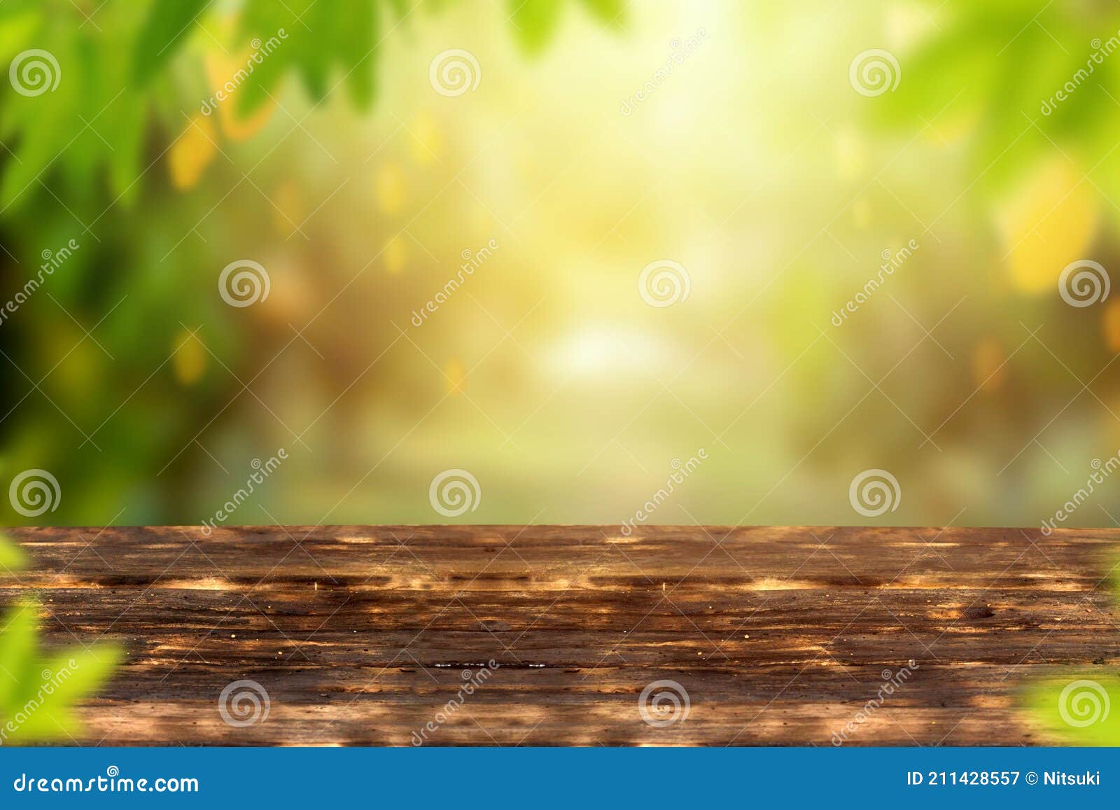 mango garden with fruits and wooden table background.