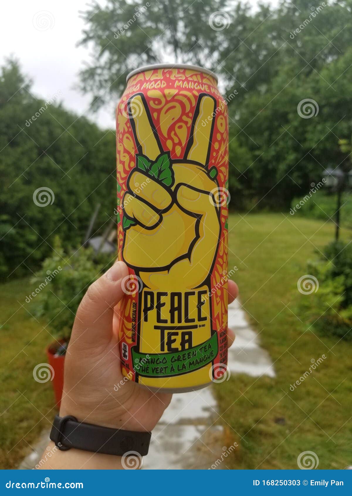 Mango Green Iced Tea editorial stock photo. Image of iced 168250303