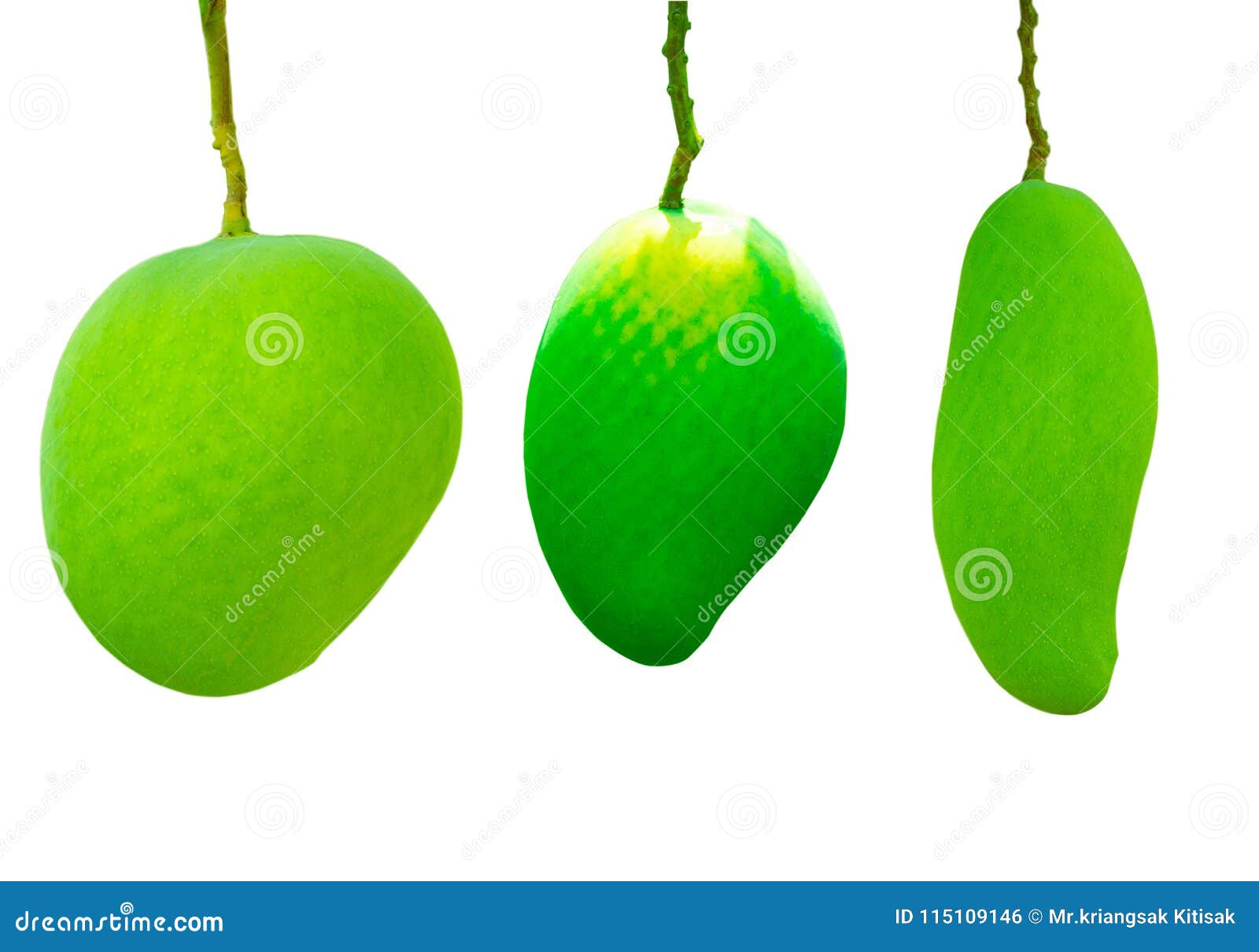 Mango Green Three Kinds in the Garden Isolated Stock Photo Image of