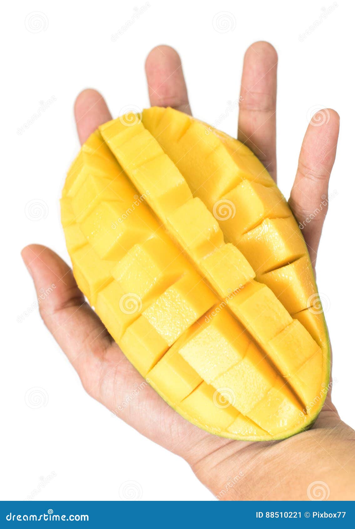 Mango in Hand Isolated on White Stock Image Image of thailand