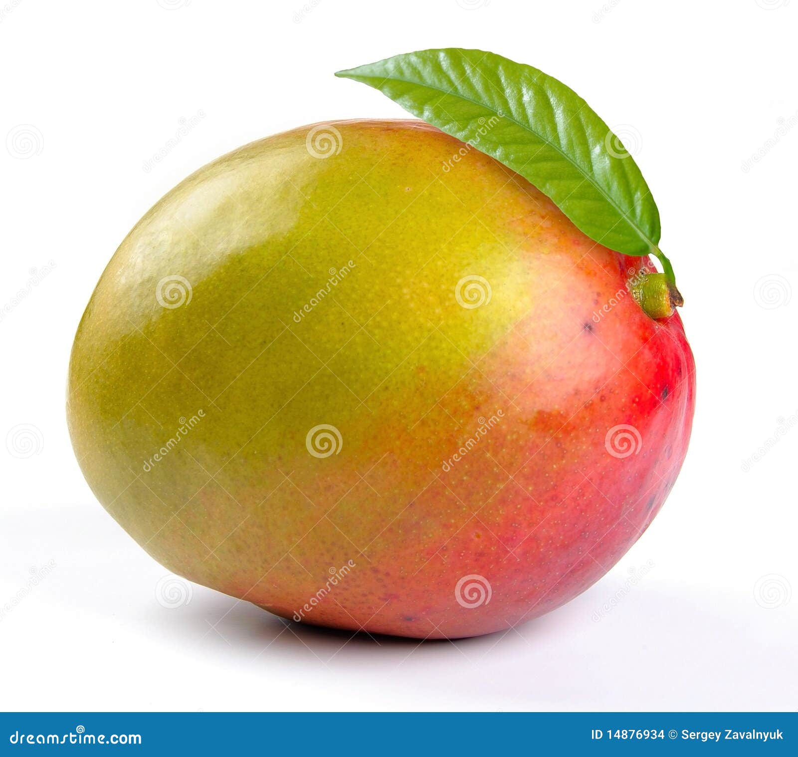 Mango With Leaves Stock Images Image 14876934