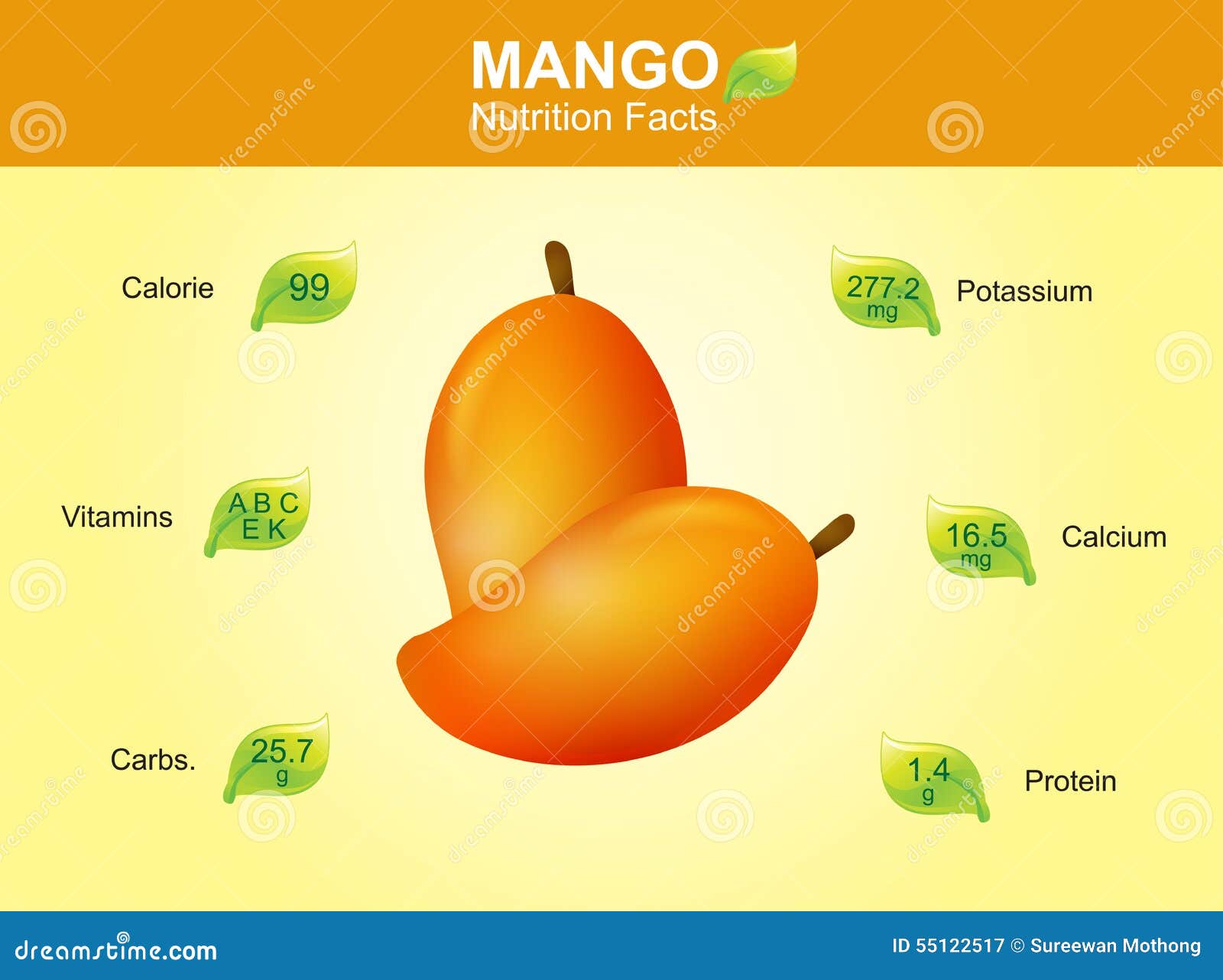 Mango Nutrition Facts Mango Fruit With Information Mango Vector Stock Vector Illustration Of mango-nutrition-facts-mango-fruit-with-information-mango-vector-stock-vector-illustration-of