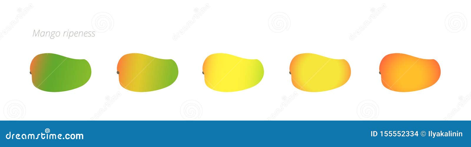 Mango Ripening Chart