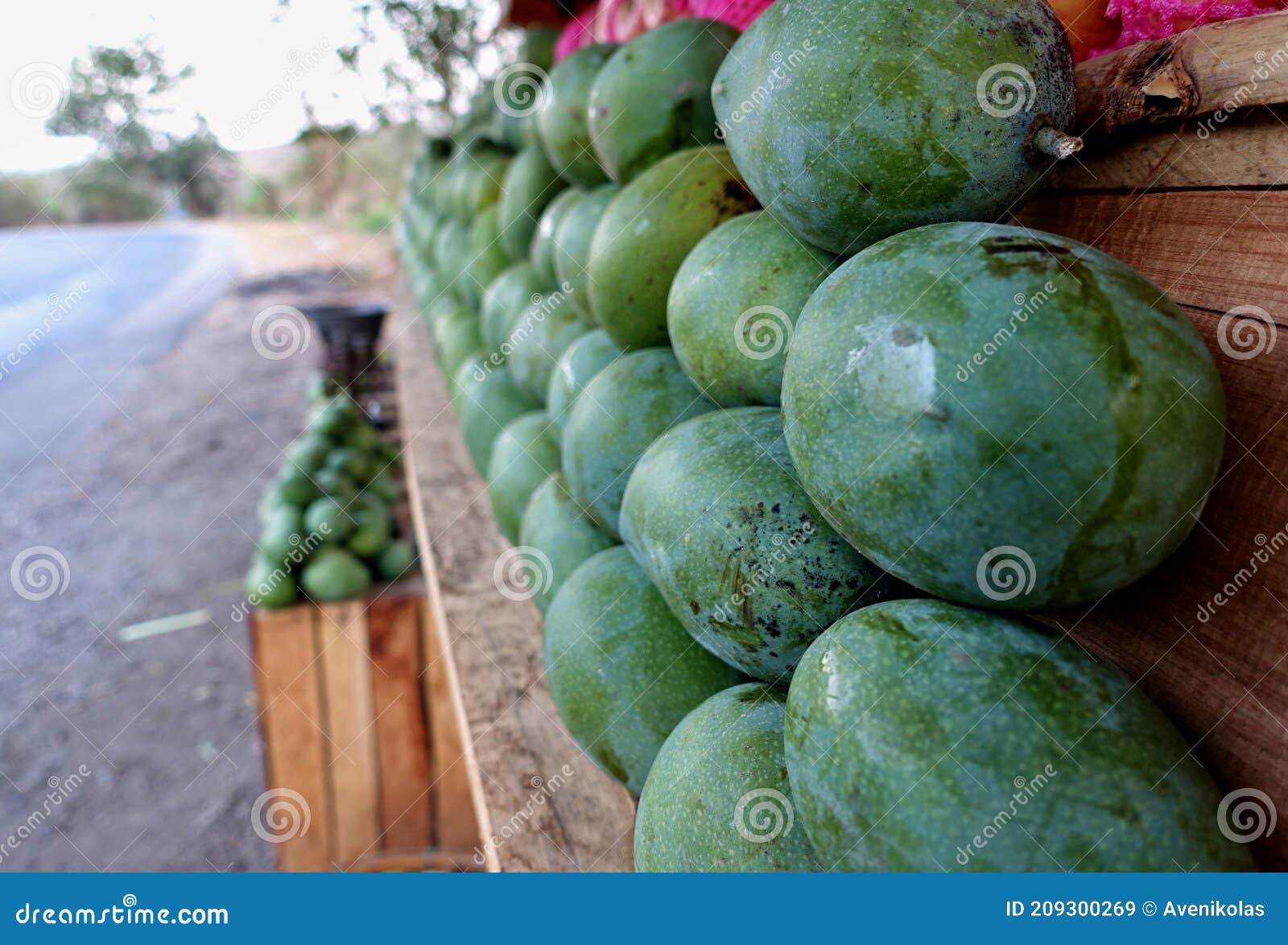 mango sales stand, sumbawa island, indonesia