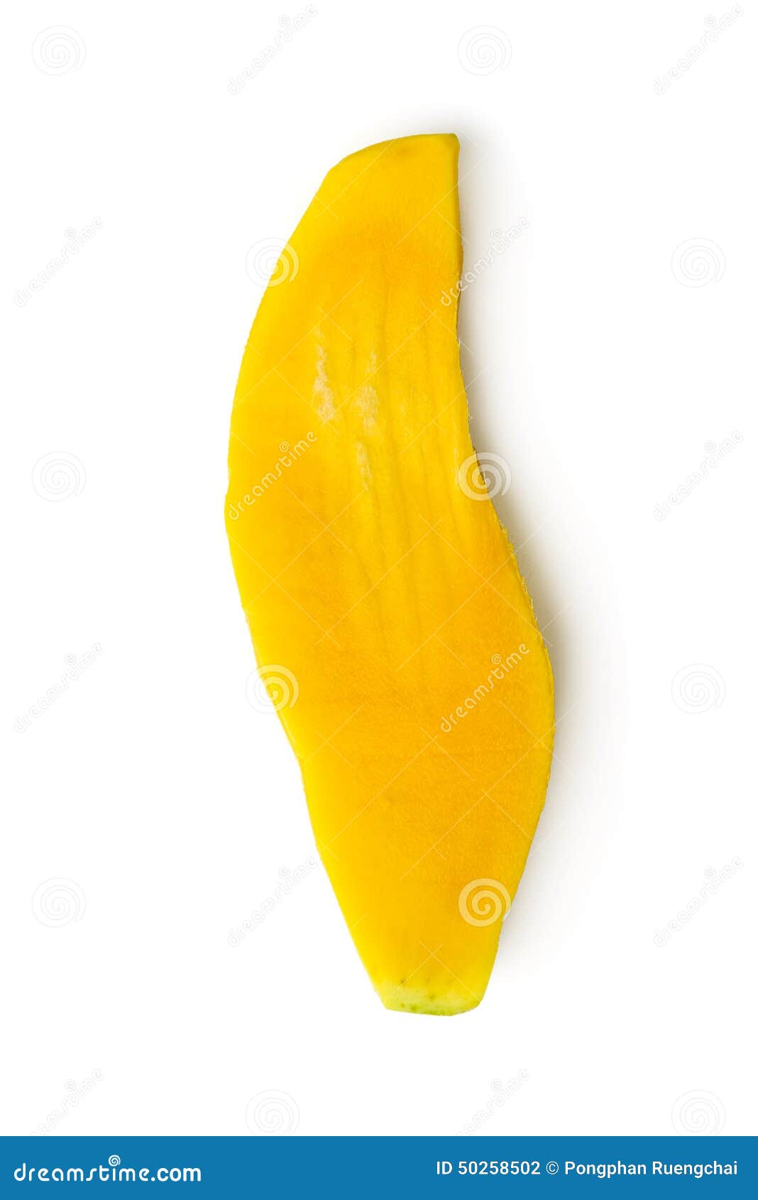 Mango seed stock photo. Image of agriculture, white, isolated 50258502