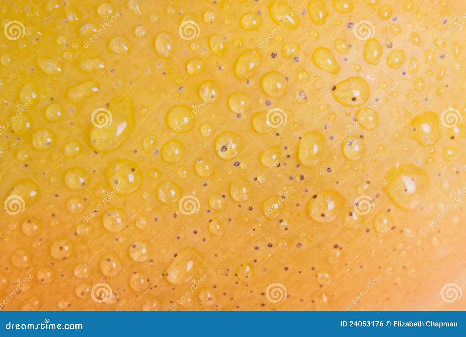 Mango skin stock photo. Image of healthy, fresh, full 24053176