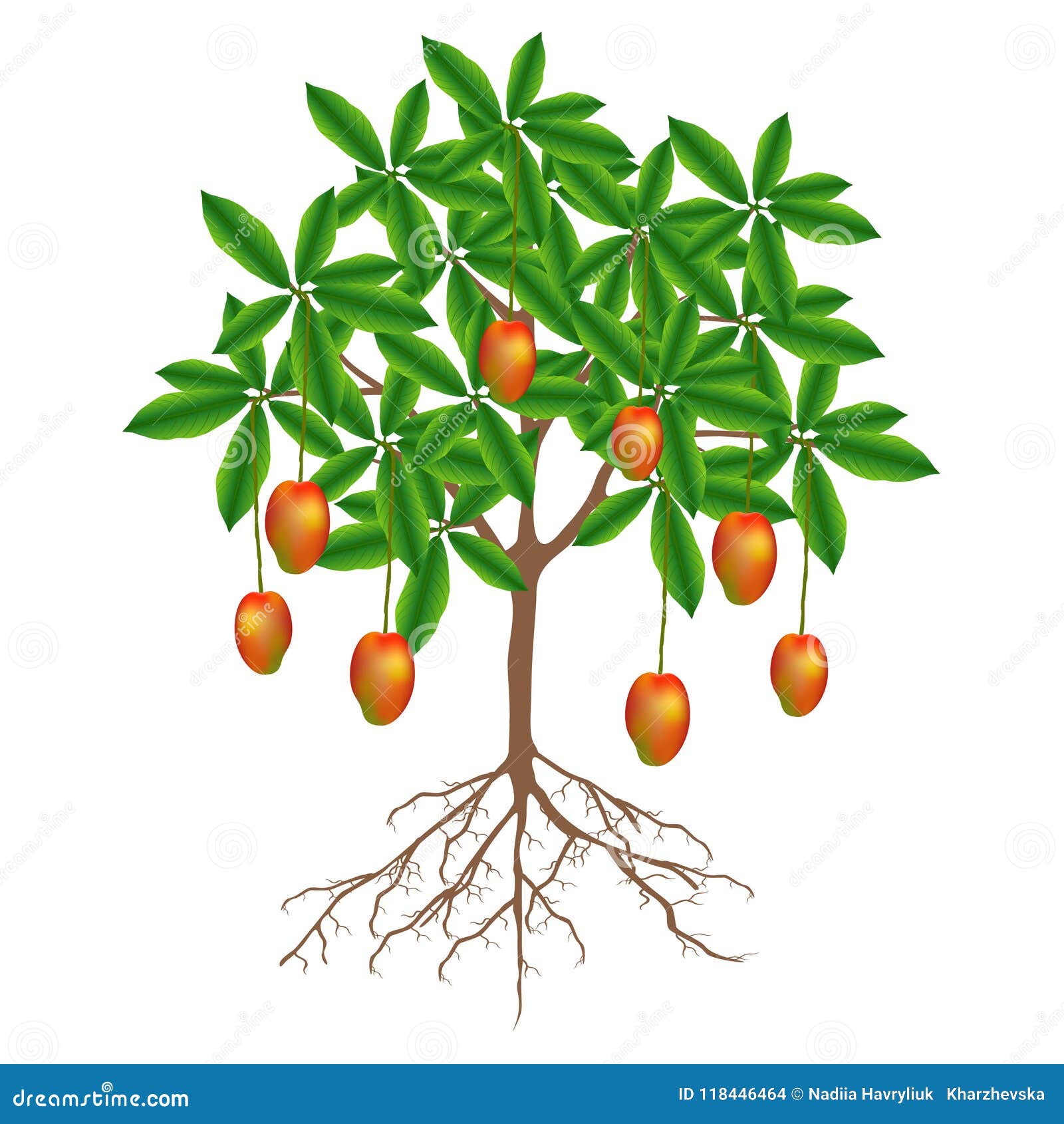 Premium Vector | Hand drawn flat color mango tree illustration-saigonsouth.com.vn