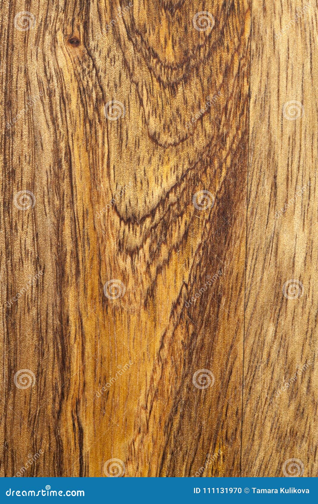 Mango wood bacground stock photo. Image of grey, mangifera 111131970