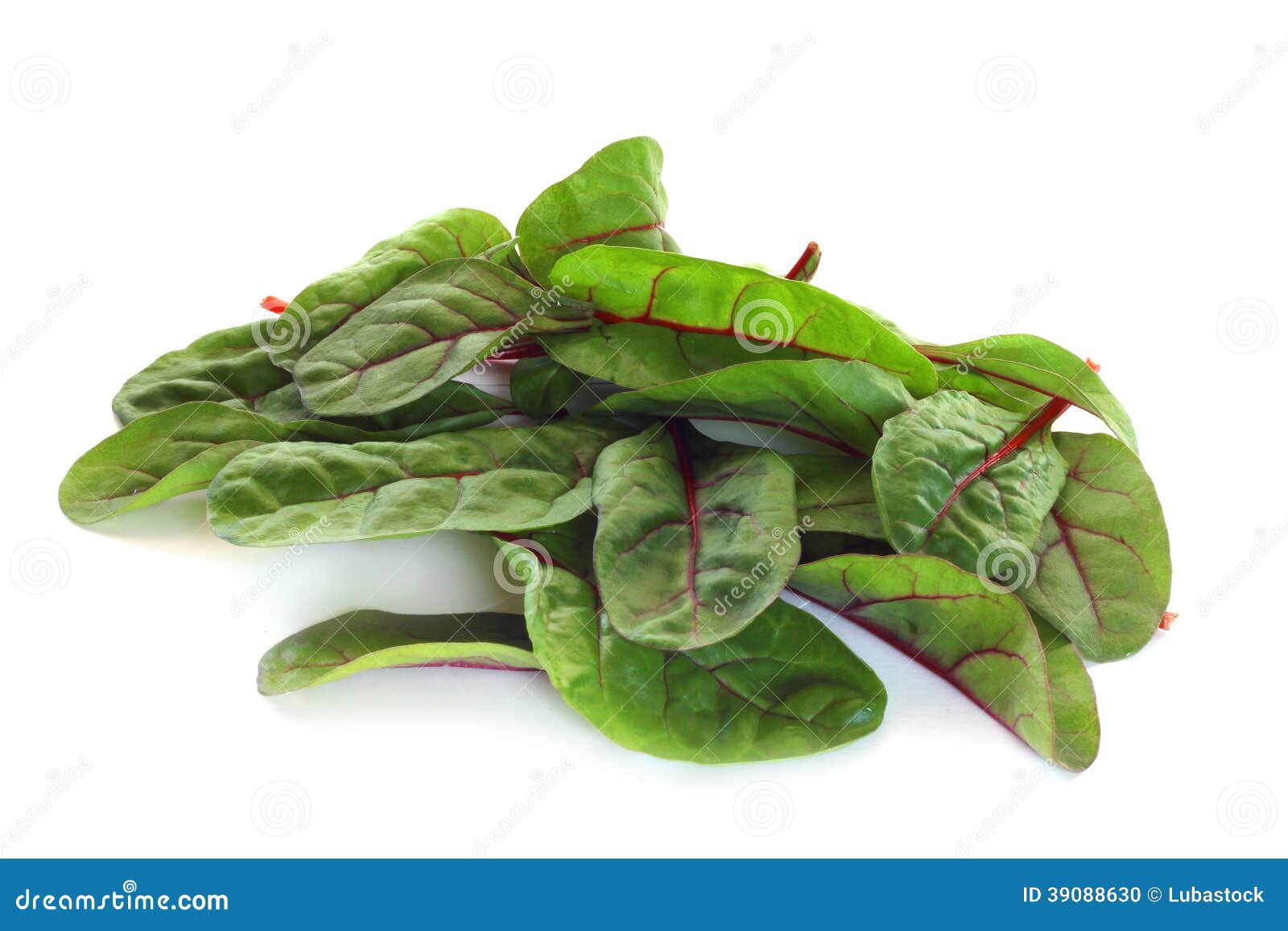 Mangold salad on white. Mangold salad or Sweet beet leafs isolated on white background