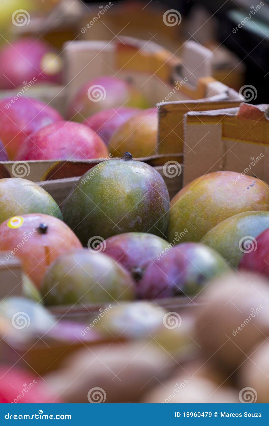 Mangos stock image. Image of harvest, store, grocery 18960479
