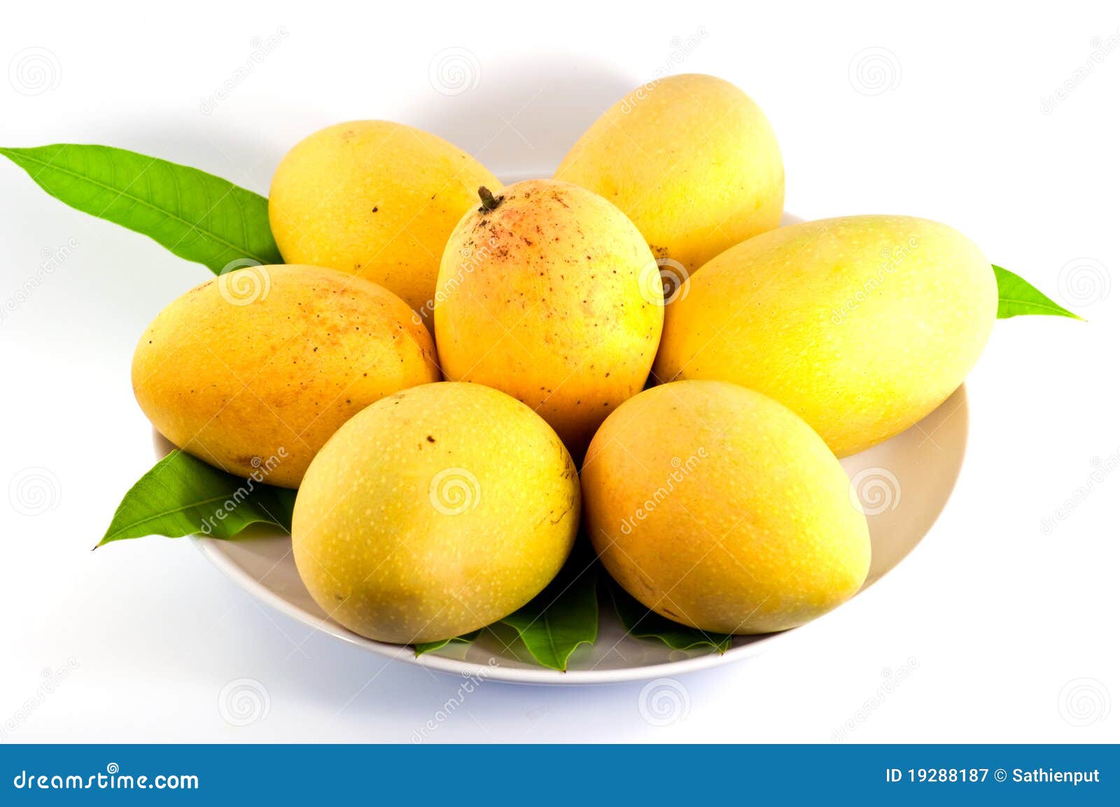 Mangos on dish stock image. Image of mango, citrus, sour 19288187