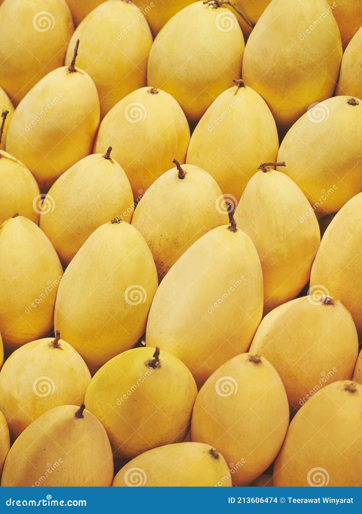 Mangos Fresh Fruit Summer Season Stock Photo Image of vitamin