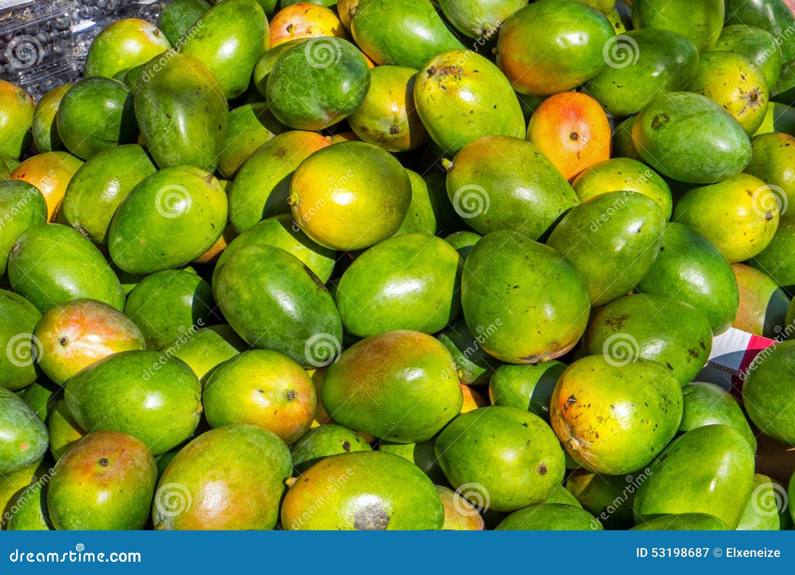Mangos for Sale at a Market Stock Image Image of grocery, market