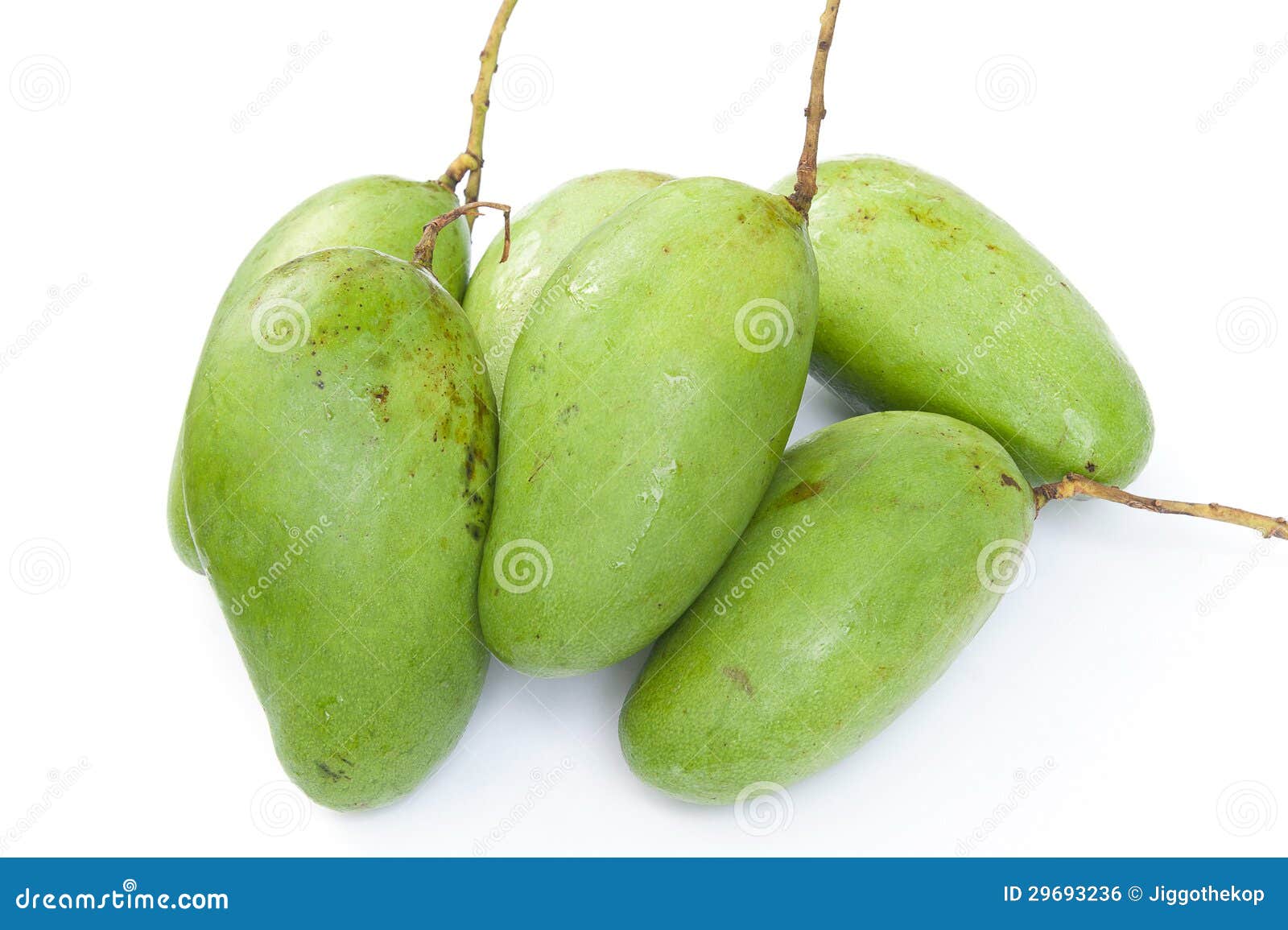 Mangos verdes foto de archivo. Imagen de frescura, cosechado 29693236