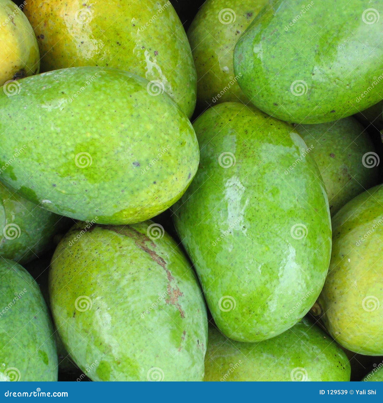 Mangos Verdes Frescos Primer Imagen de archivo Imagen de verde