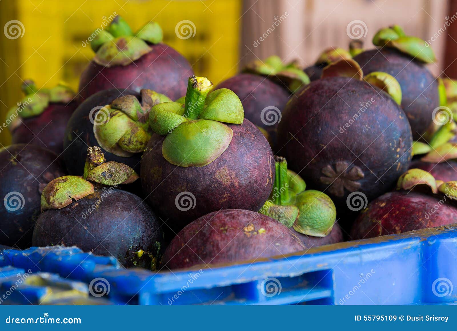 Mangosteen in Fresh Fruit Market Stock Image Image of fruit, product