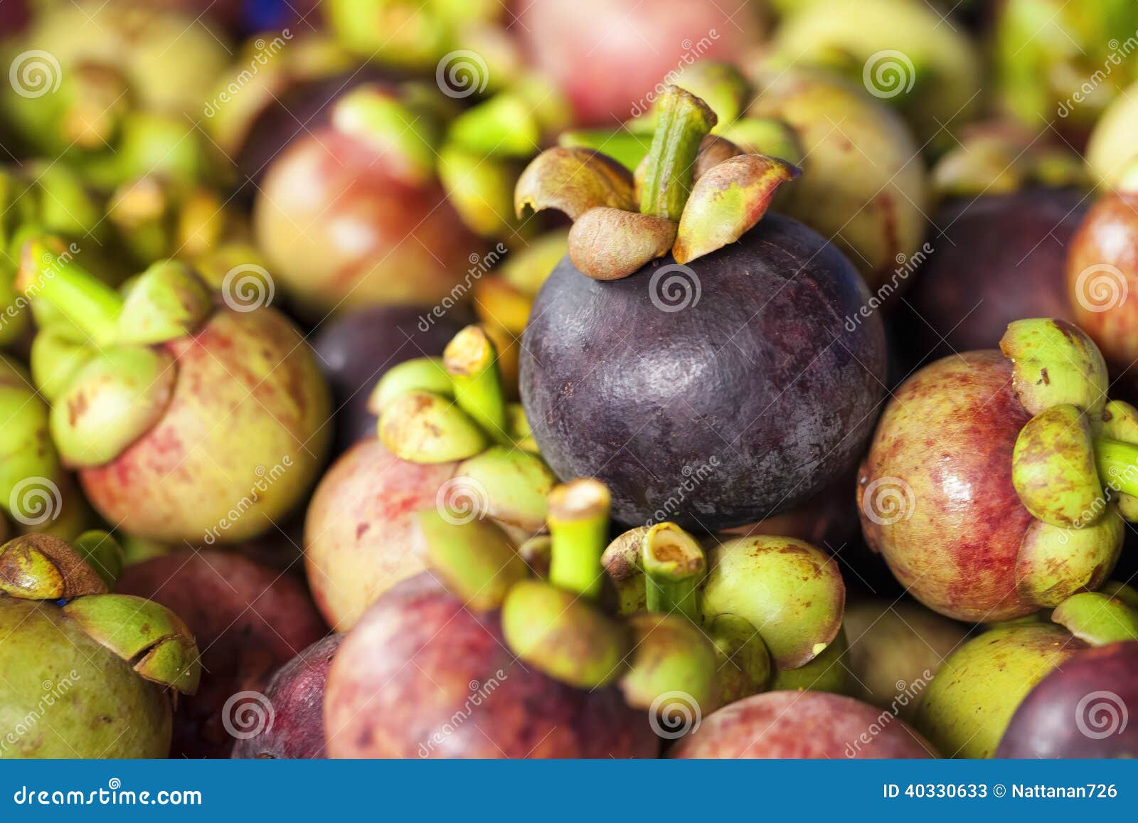 Mangosteen stock image. Image of green, natural, asian 40330633