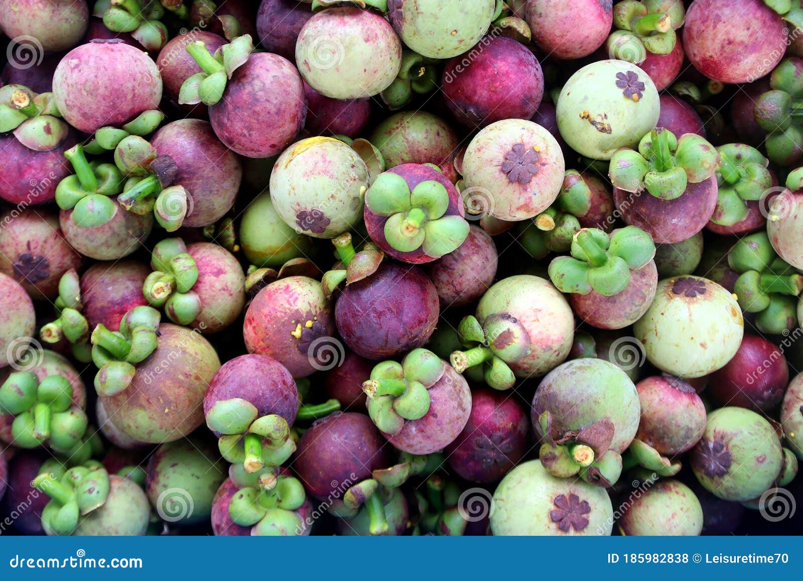 Mangosteen in fruit market stock photo. Image of plant 185982838