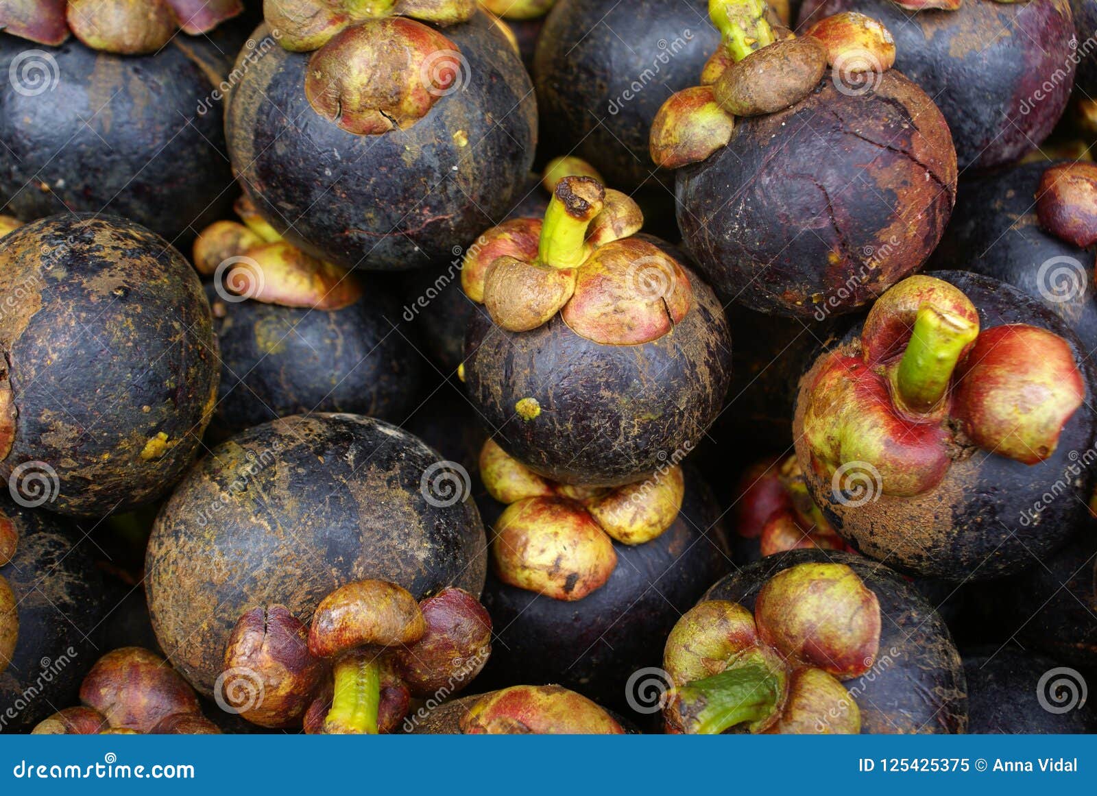 Mangosteen Fruit in Phuket Market. Stock Image Image of phuket