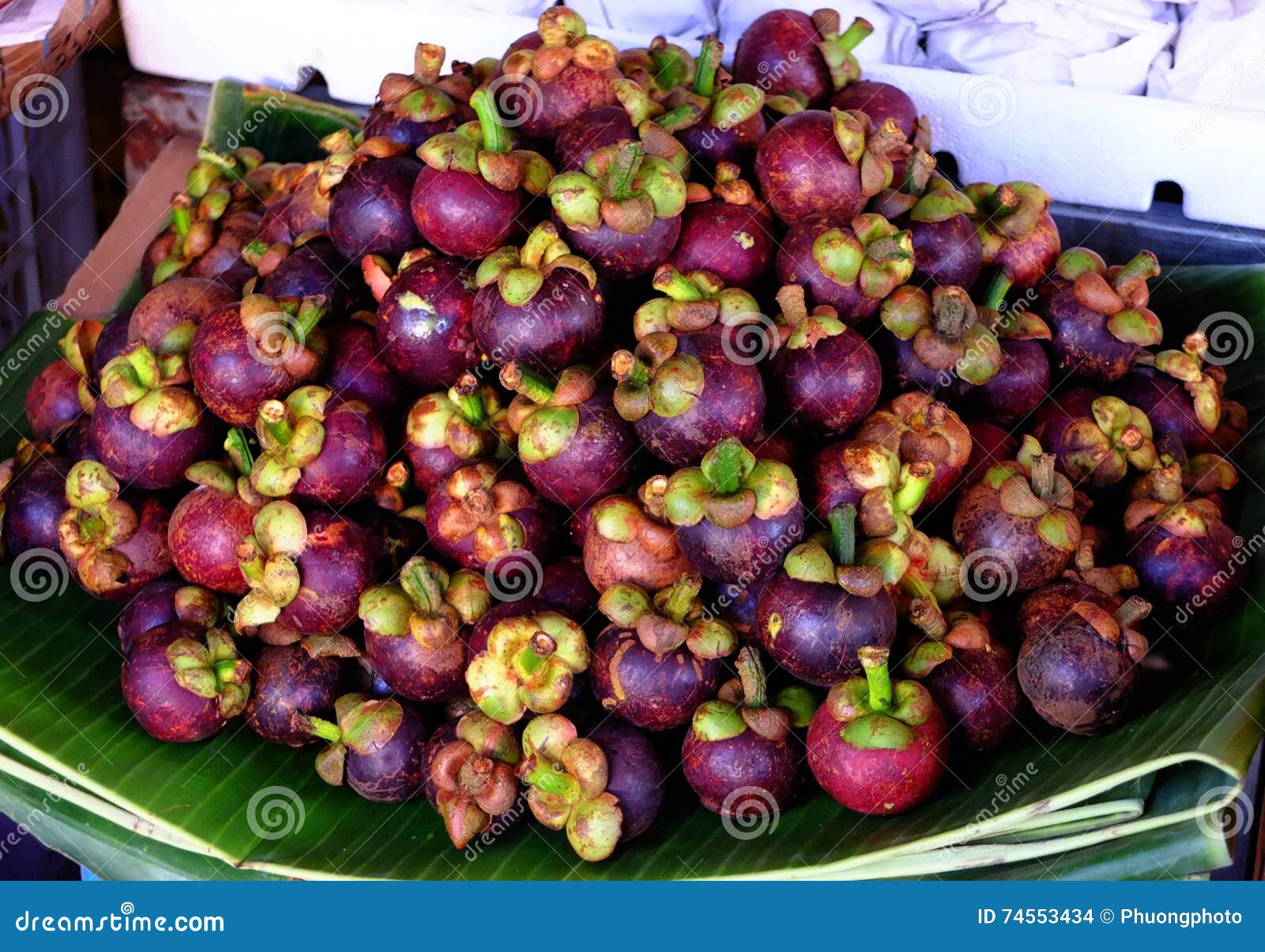 Mangosteen fruits stock photo. Image of blue, asia, sunny 74553434