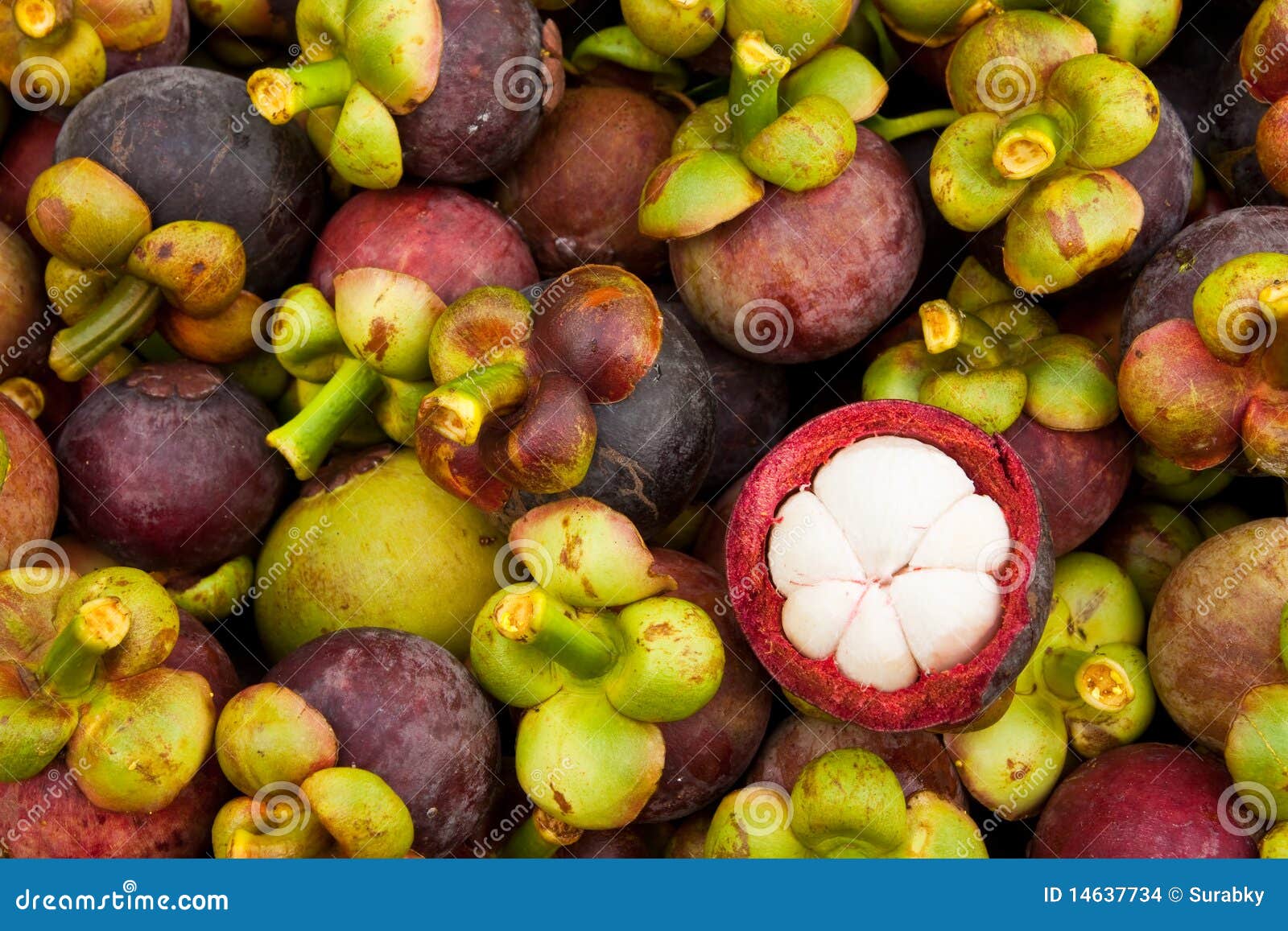 Mangosteen, Queen of Tropical Fruit Stock Photo Image of fresh