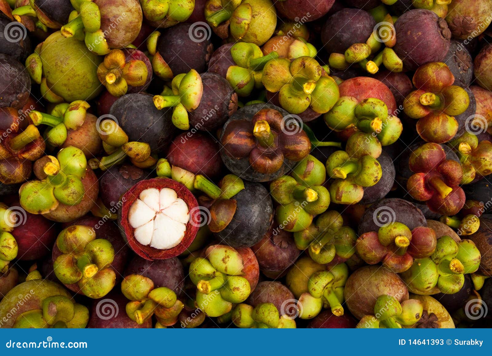 Mangosteen, Queen of Tropical Fruit Stock Image Image of nutritious