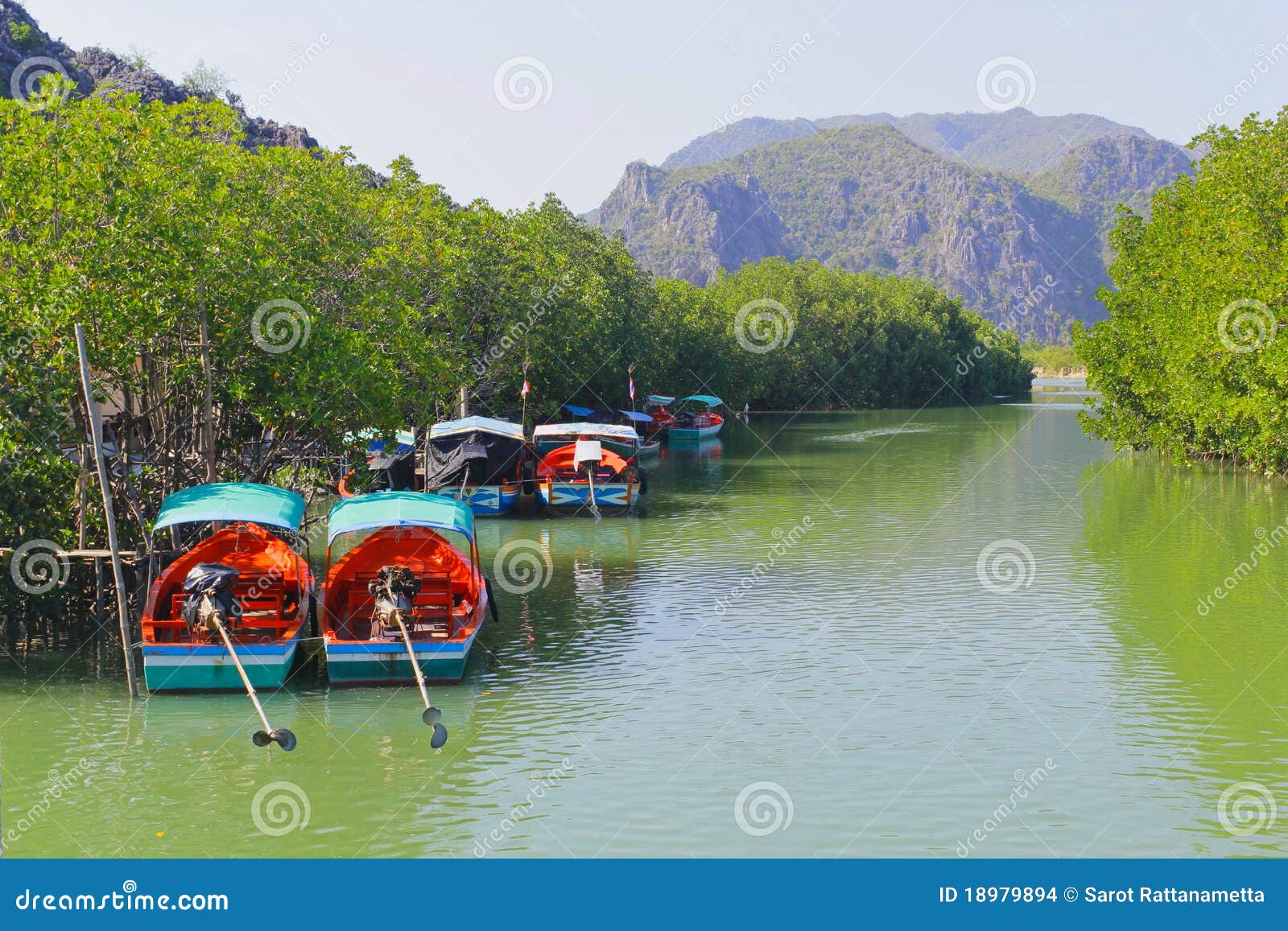 Mangrove and boats stock photo. Image of plant, forest 18979894