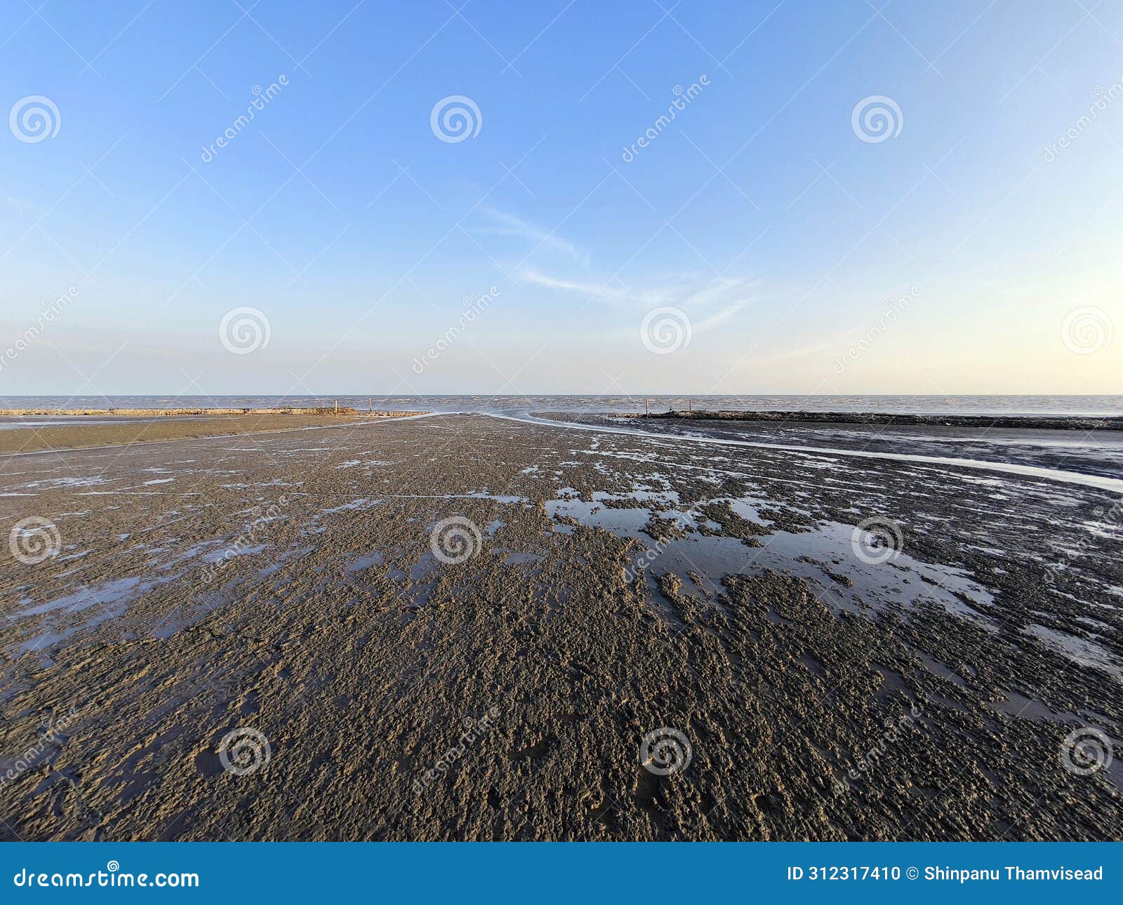 a mangrove forest and a bright sky of samutsakorn in thailand.