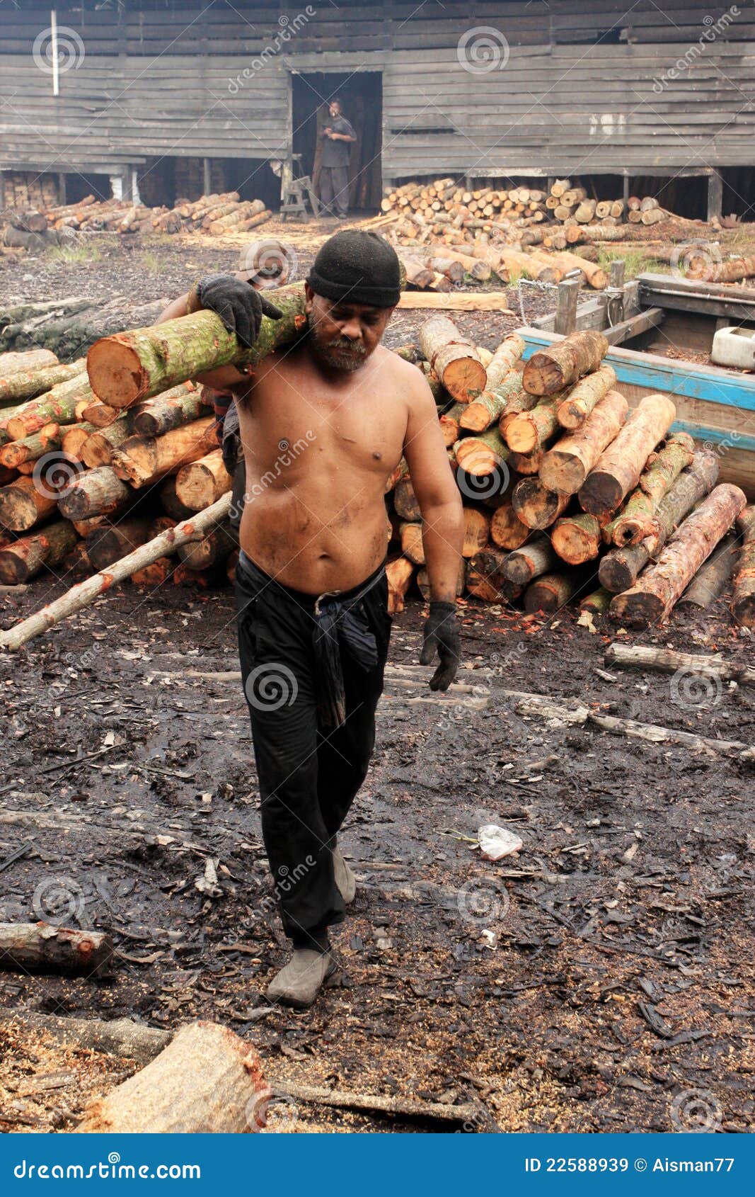 Mangrove Wood Charcoal Worker Editorial Stock Image Image of mangrove