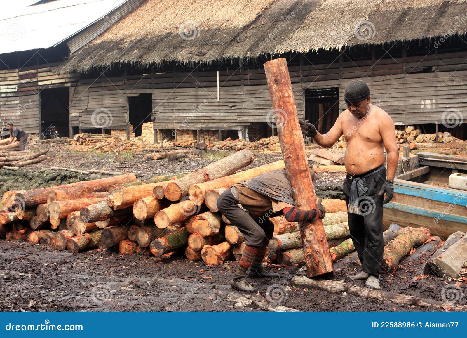 Mangrove Wood Charcoal Worker Editorial Photo Image of material