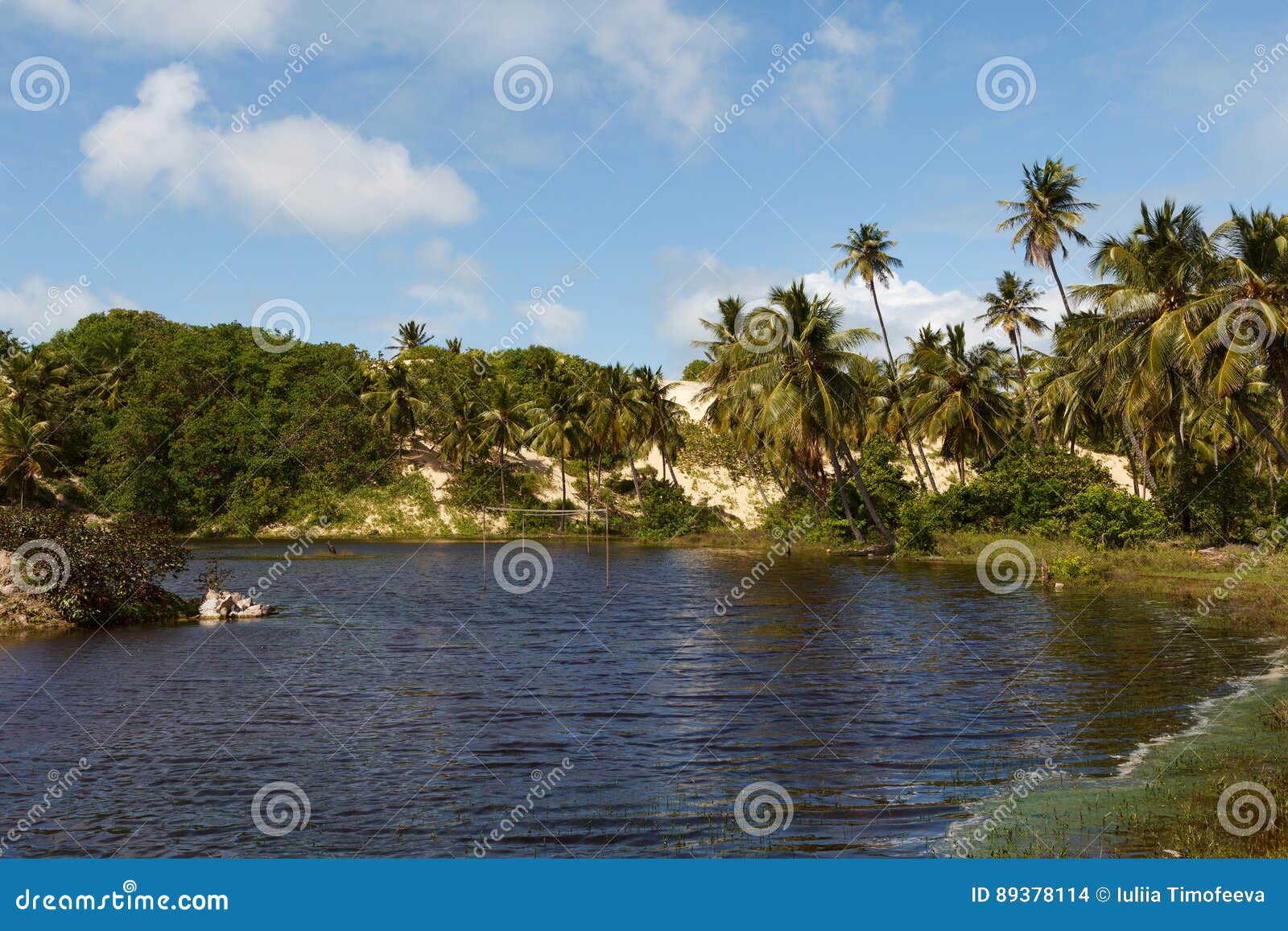 mangue seco, jandaÃÂ­ra, bahia, brazil