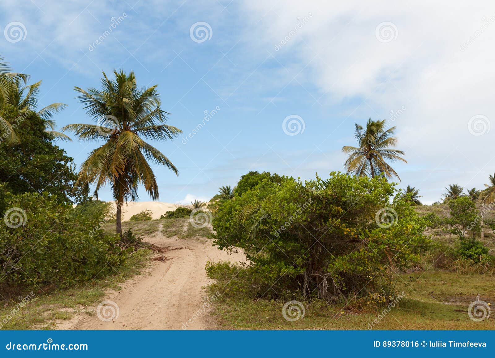 292 Mangue Brazil Photos - Free & Royalty-Free Stock Photos from Dreamstime