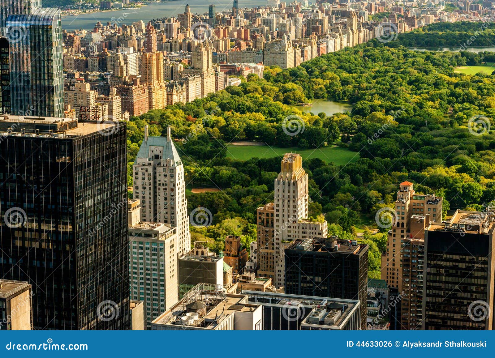 manhattan and central park view