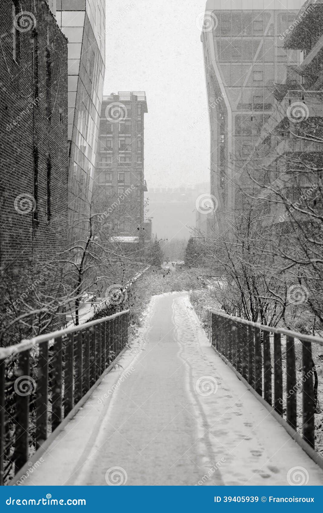 manhattan highline in winter, nyc