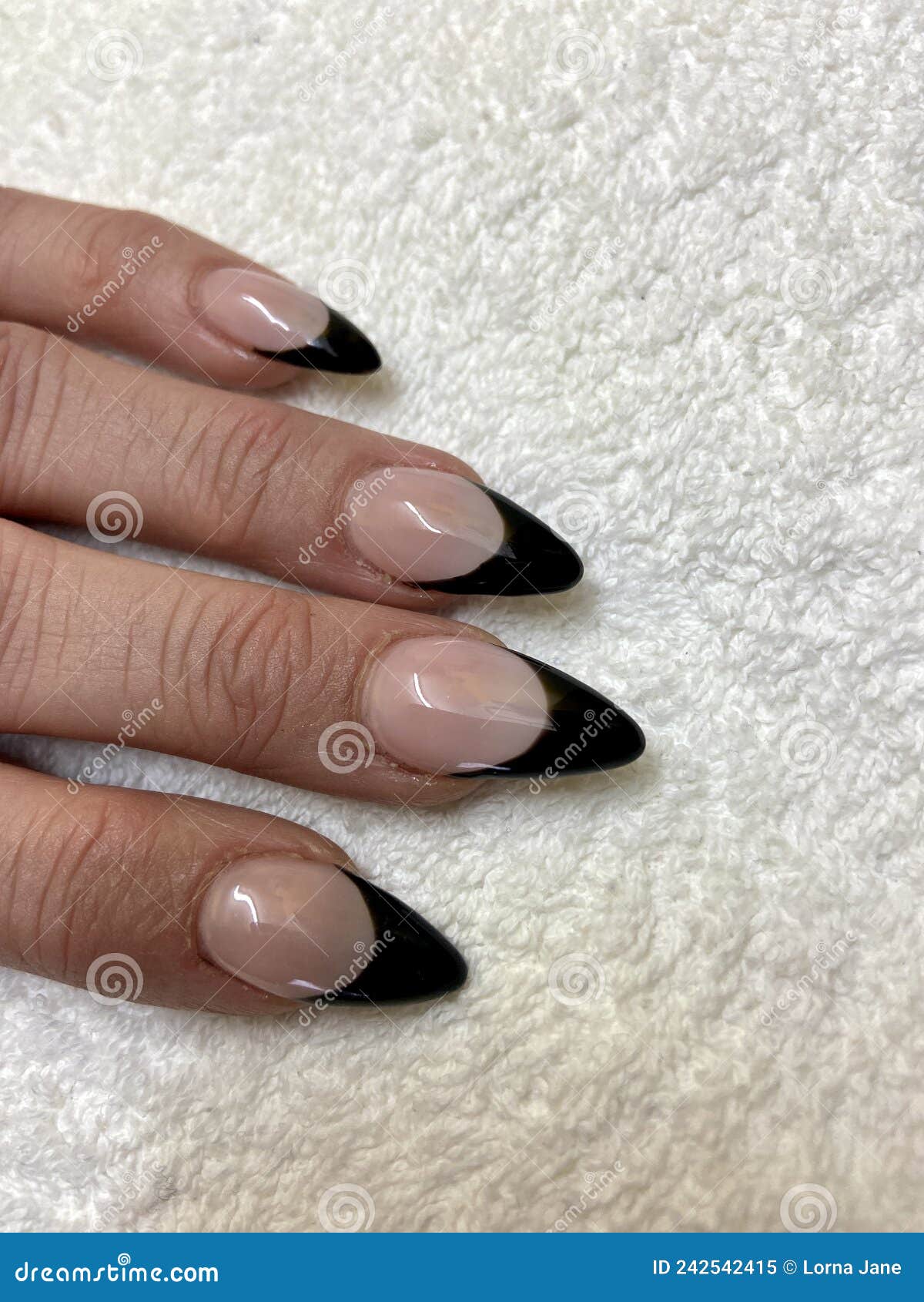 Manicura De Punta Negra Francesa Con Puntos De Garra Diseño De Uñas De Moda  En Uñas Acrílicas Aplicadas Imagen de archivo - Imagen de sostenido, copia:  242542415