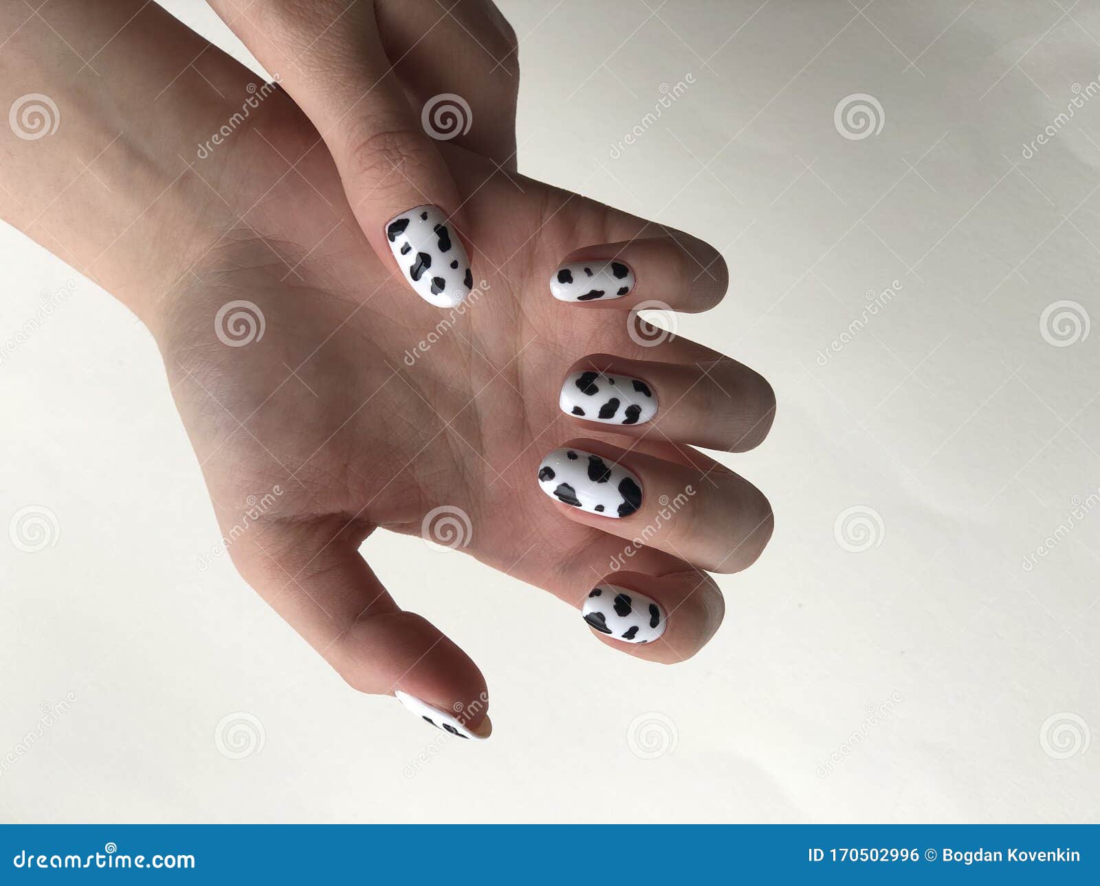 Manicura Femenina En Con Manchas Negras Foto de Imagen de blanco, puntos: 170502996